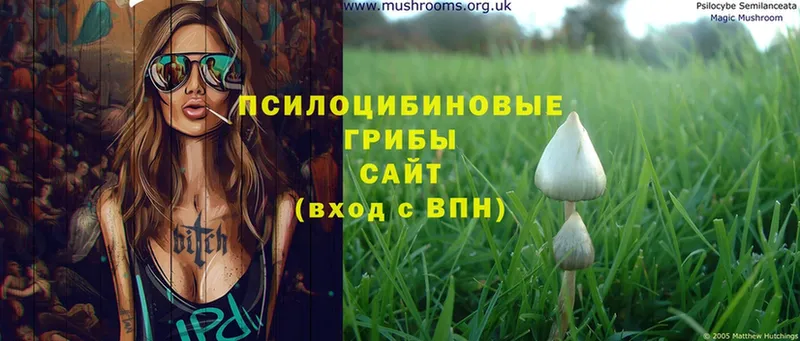 Галлюциногенные грибы Magic Shrooms  ОМГ ОМГ ссылка  Ефремов 