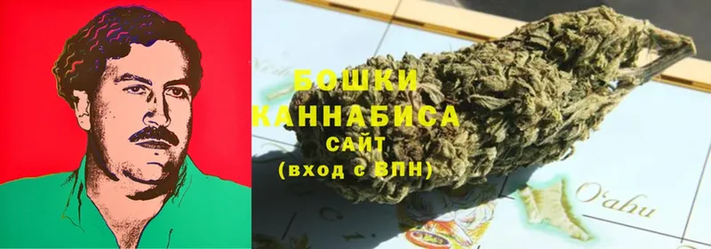 Бошки марихуана OG Kush  дарнет шоп  Ефремов 